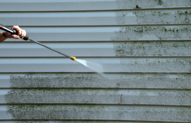 Solar Panel Cleaning in Mount Zion, IL